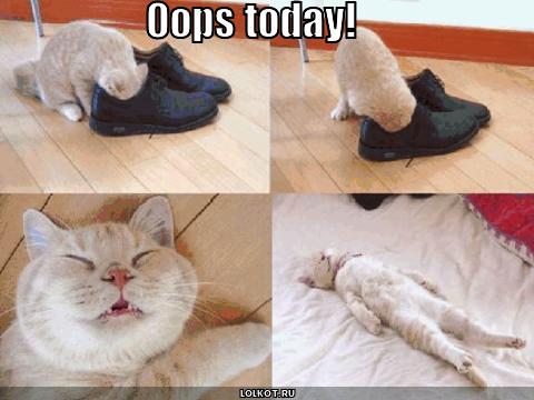 oops today!