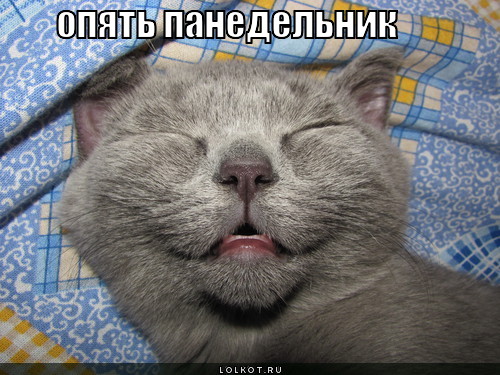 опять панедельник