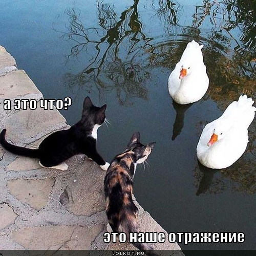 отражение
