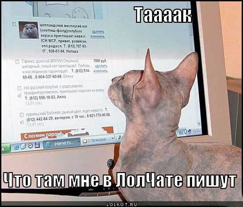 пишут