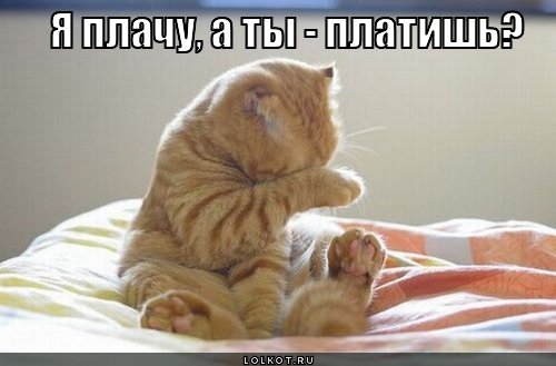 плачу - платишь
