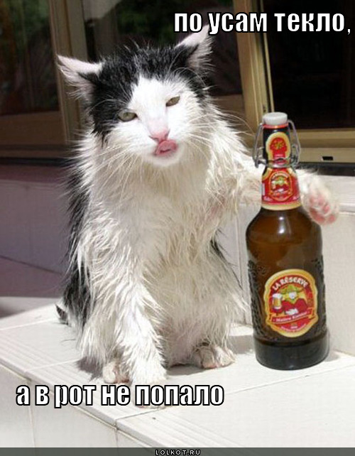 по усам текло