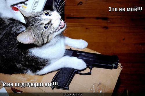подсунули