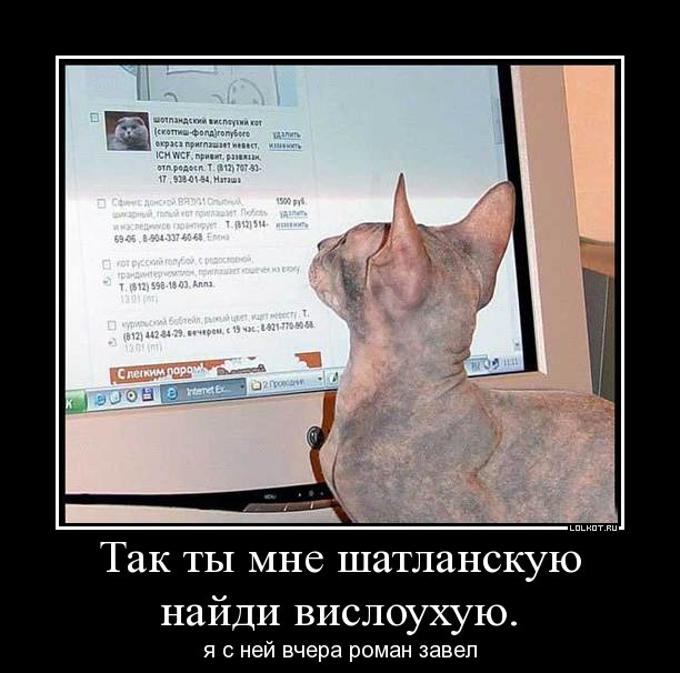 поиск