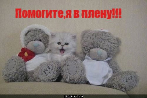 помогите, я в плену!!!