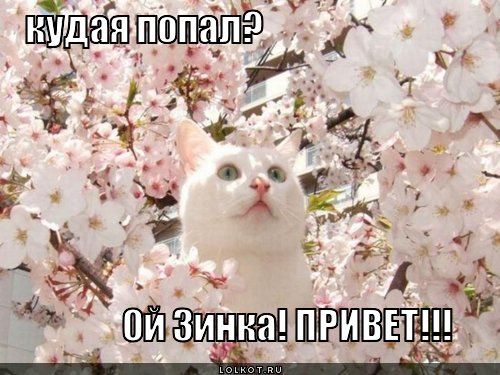 попал