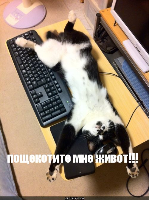пощекотите