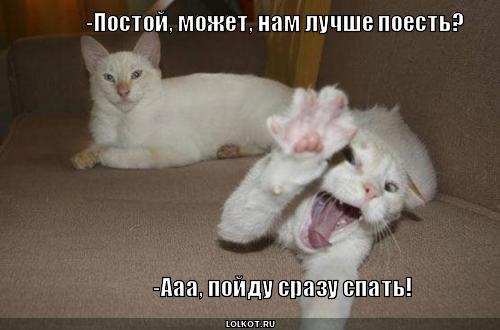 постой
