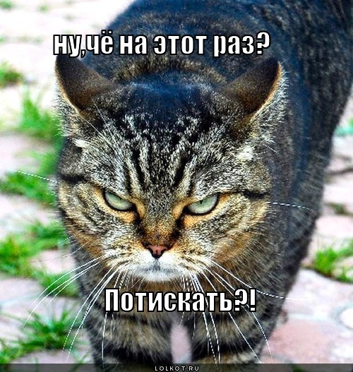потискать?!