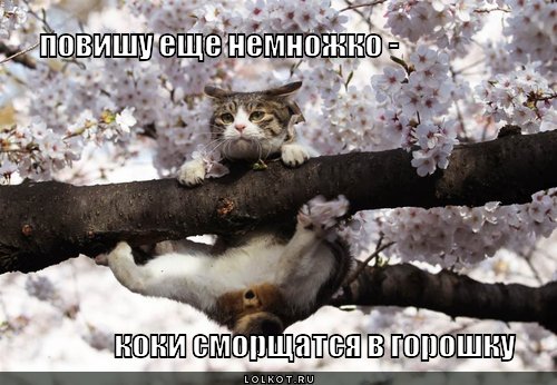 повишу