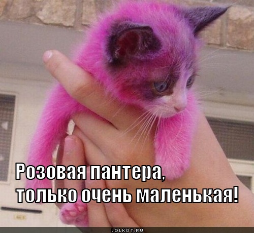 розовая пантера