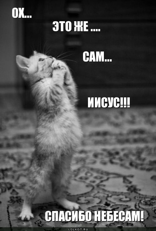 сам... иисус!!