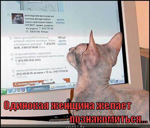 сайт знакомств