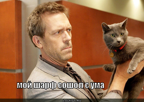 шарф
