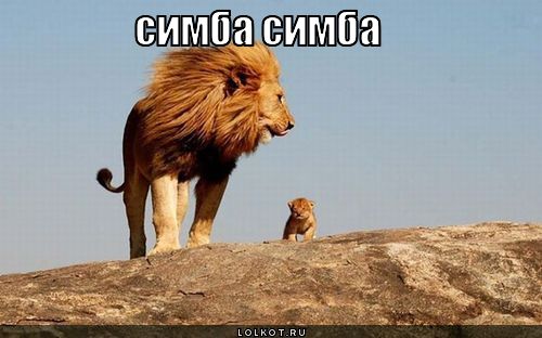 симба симба