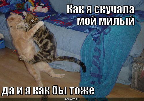 скучала
