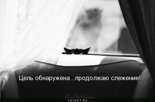 слежка