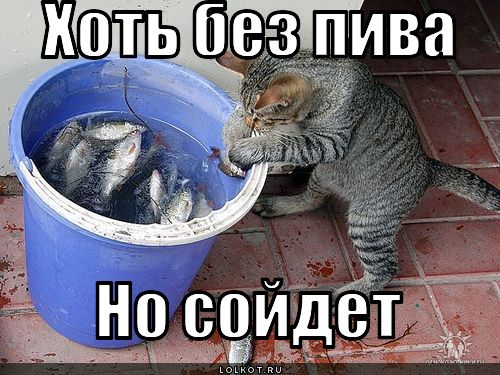 сойдет