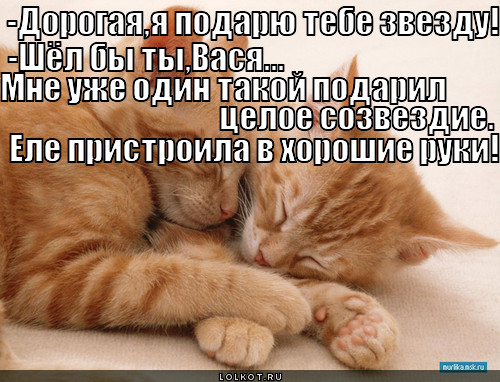 созвездие