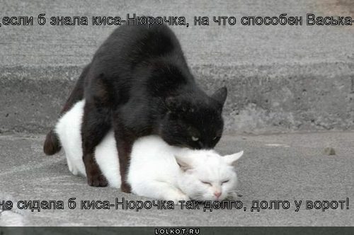 способный Васька