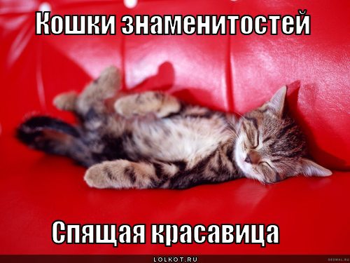 спящая красавица