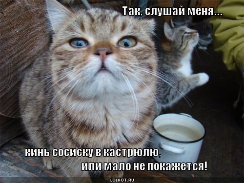 так, слушай меня