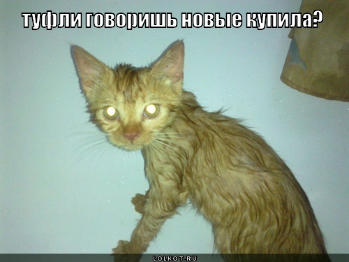 туфли новые