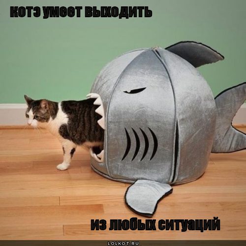 умеет выходить