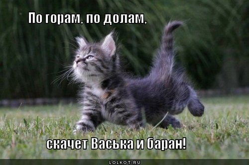 Васька и баран!