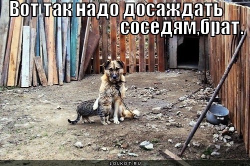 вот так