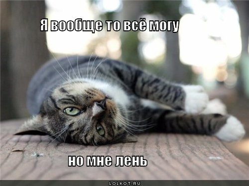 всё могу
