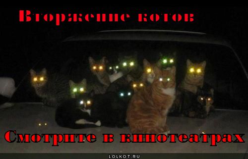 вторжение котов