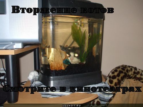 вторжение