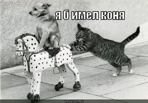 я б имел коня