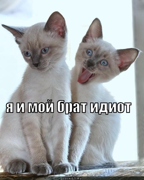 я и брат