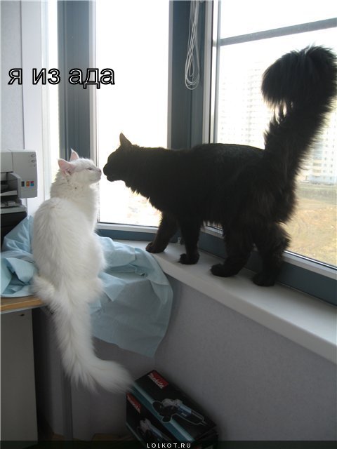я из ада