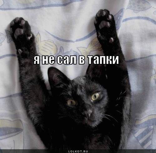 я не сал в тапки