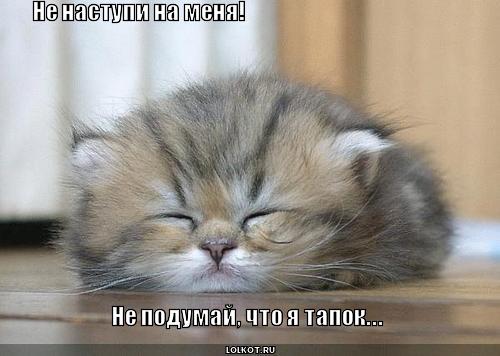 я тапок...