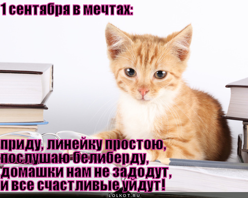 1 сентября в мечтах