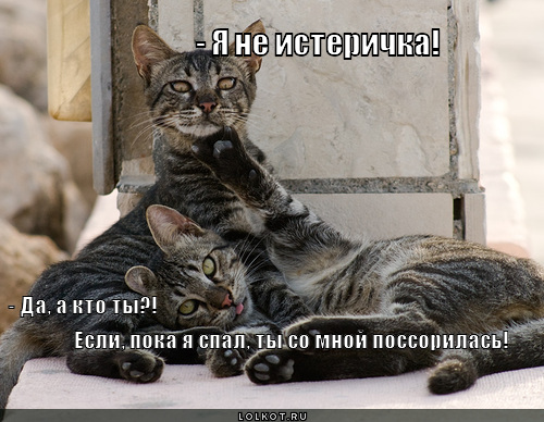 а кто ты?!