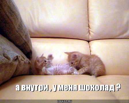 а внутри