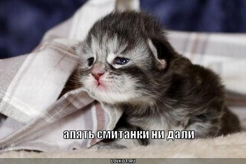 апять