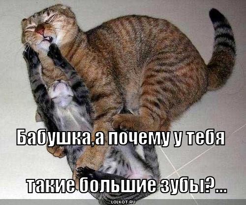большие зубы ?...