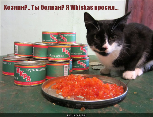 болван