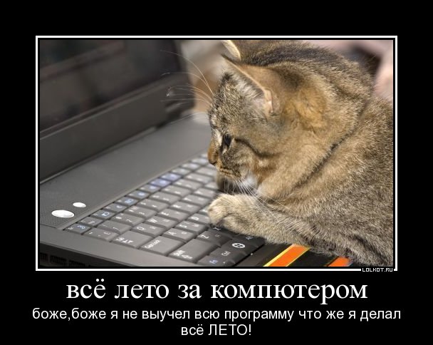 что же