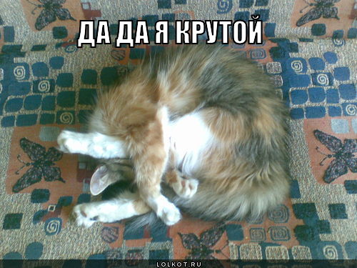 да да