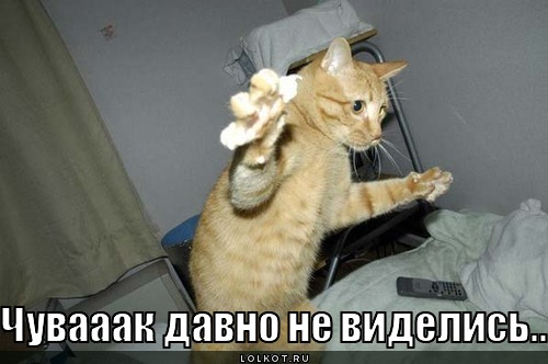 давно не виделись