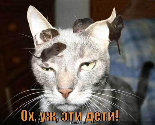 дети