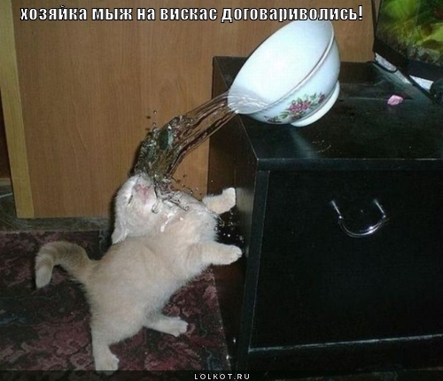 договариволись