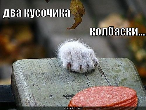 два кусочика колбаски...